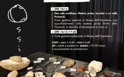 Non Solo Ossidiana. Materie prime, tecniche e usi nella Preistoria