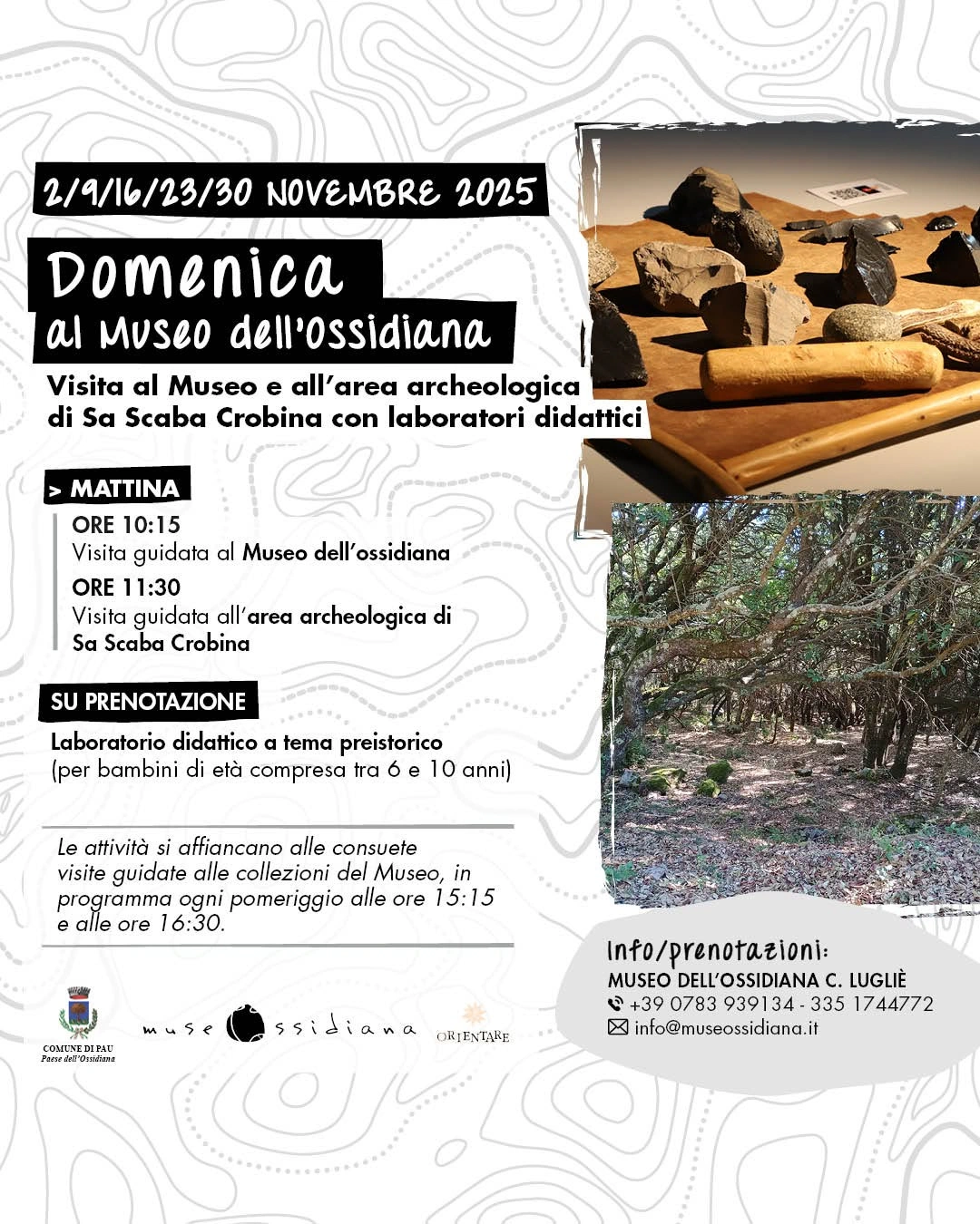 12_2025_novembre-2025_domenica-museo-parco-novembre